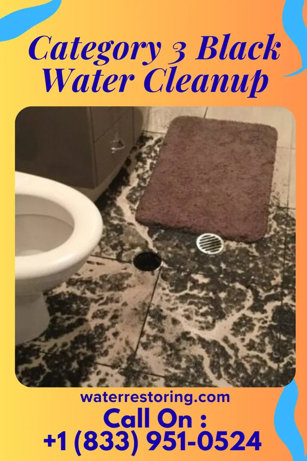Category 3 Black Water Cleanup in Wichita, KS