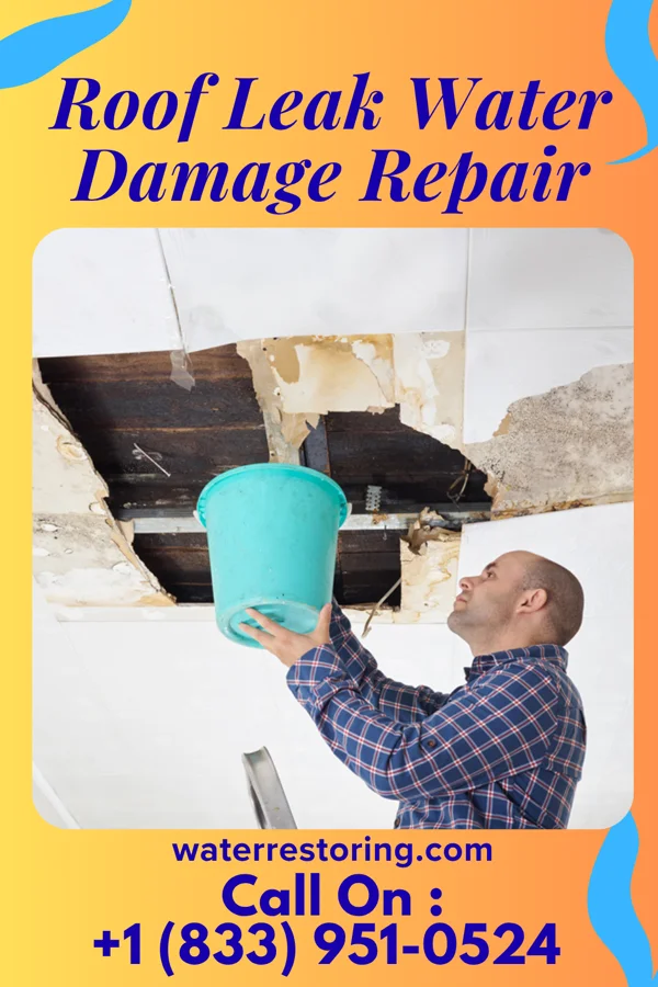 Roof Leak Water Damage Repair in Wichita, KS